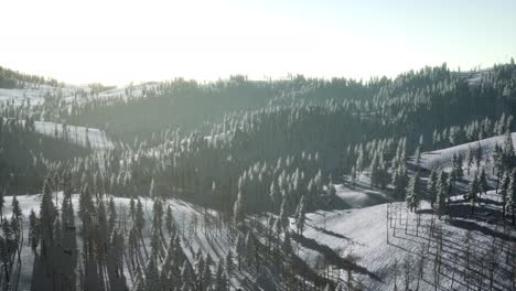 Berglandschaft-An-Einem-Sonnigen-Wintertag